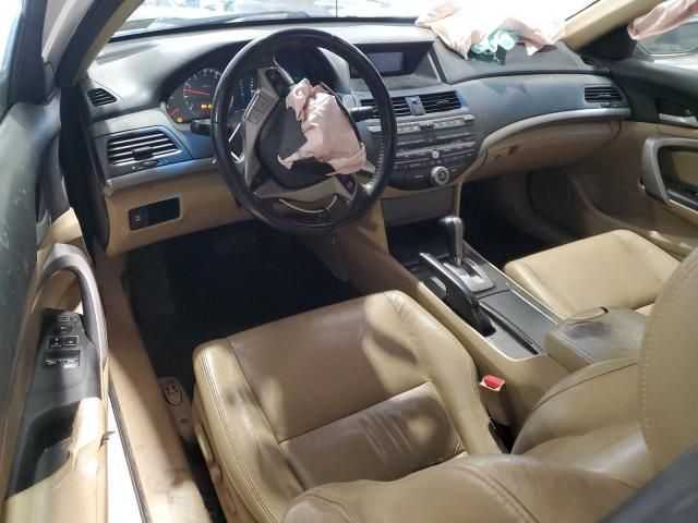 2010 Honda Accord EXL