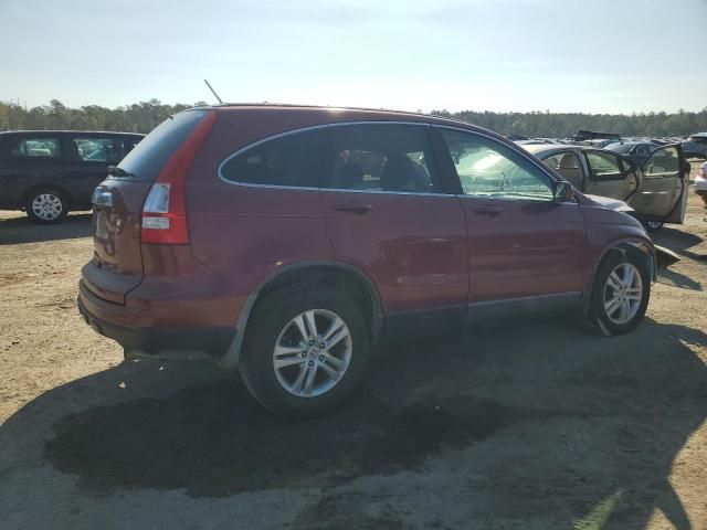 2010 Honda CR-V EXL