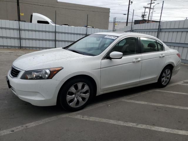 2010 Honda Accord EXL