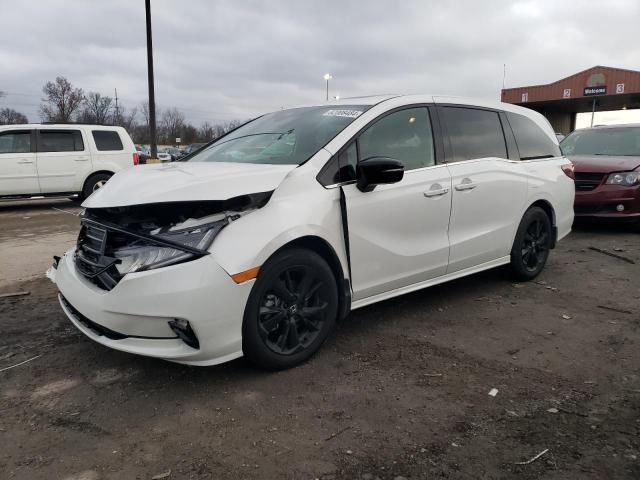 2024 Honda Odyssey Sport