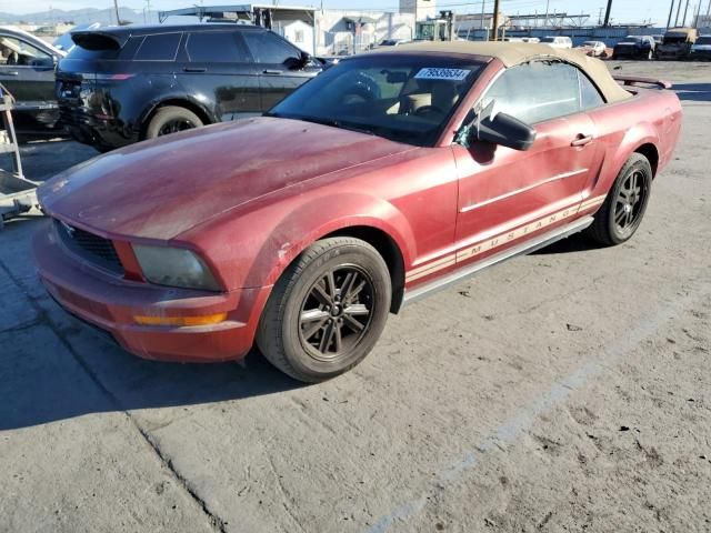 2005 Ford Mustang