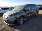 2019 Honda Odyssey EXL