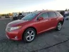 2009 Toyota Venza