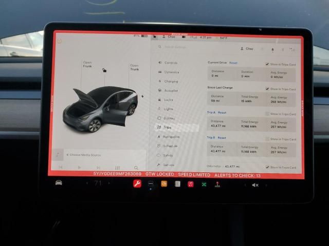 2021 Tesla Model Y