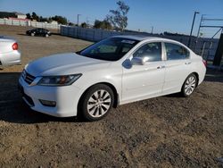 Salvage cars for sale at American Canyon, CA auction: 2013 Honda Accord EXL