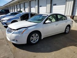 2012 Nissan Altima Base en venta en Louisville, KY