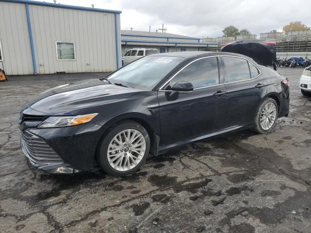 2019 Toyota Camry Hybrid