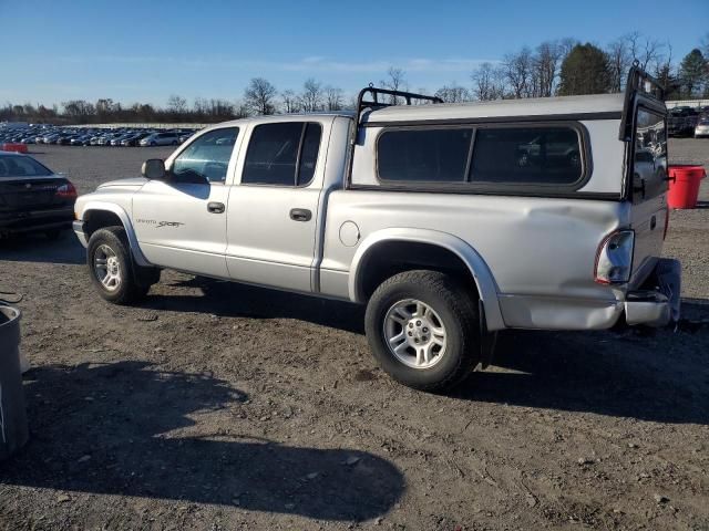 2001 Dodge Dakota Quattro