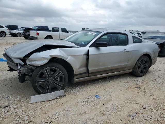 2013 Ford Mustang