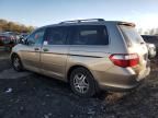 2007 Honda Odyssey EXL