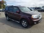 2010 Honda Pilot EX