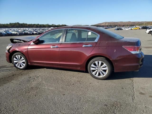 2011 Honda Accord EXL