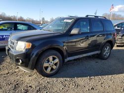 Ford salvage cars for sale: 2010 Ford Escape XLT