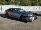 2024 Toyota Camry SE Night Shade