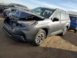 Salvage cars for sale at Brighton, CO auction: 2025 Subaru Forester