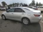 2007 Toyota Camry Hybrid