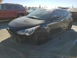 Hyundai Veloster salvage cars for sale: 2013 Hyundai Veloster Turbo