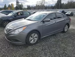 Hyundai salvage cars for sale: 2014 Hyundai Sonata GLS