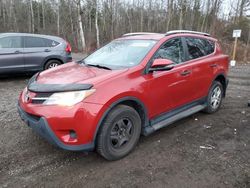 Toyota rav4 salvage cars for sale: 2013 Toyota Rav4 LE