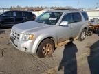 2008 Ford Escape Limited