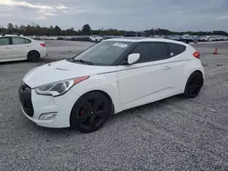 Salvage cars for sale at Lumberton, NC auction: 2013 Hyundai Veloster