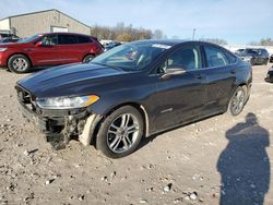 2016 Ford Fusion SE Hybrid en venta en Lawrenceburg, KY