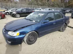 2001 Toyota Corolla CE en venta en Waldorf, MD