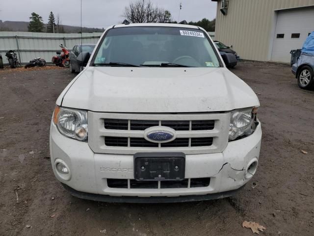 2009 Ford Escape Hybrid