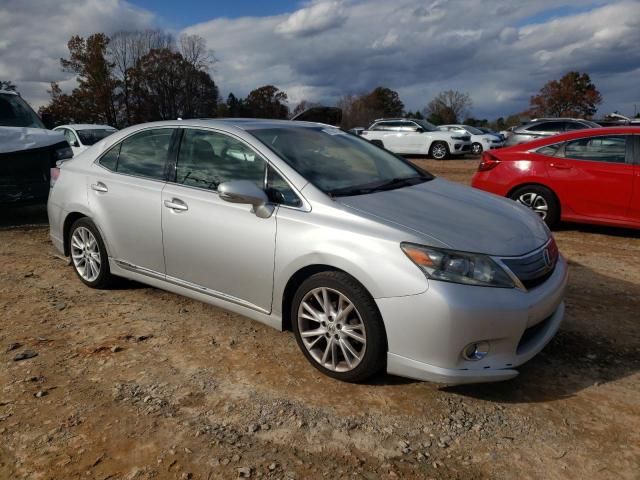 2010 Lexus HS 250H