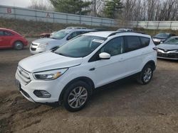 Salvage cars for sale at Davison, MI auction: 2018 Ford Escape SE