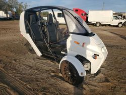 Vehiculos salvage en venta de Copart Riverview, FL: 2022 Other Motor Cart