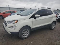 Ford Ecosport salvage cars for sale: 2021 Ford Ecosport SE