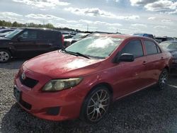 Toyota salvage cars for sale: 2010 Toyota Corolla Base