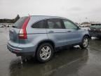 2010 Honda CR-V EXL