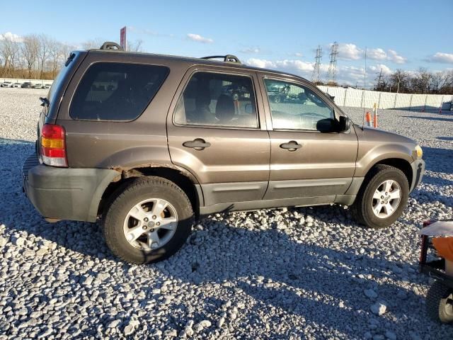 2007 Ford Escape XLT