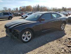 Salvage cars for sale at Chalfont, PA auction: 2012 Dodge Charger SXT