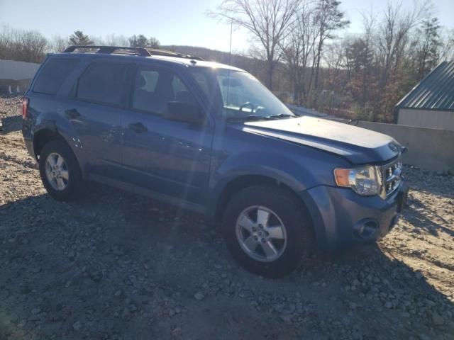 2009 Ford Escape XLT