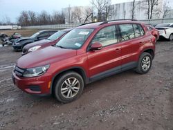 Volkswagen salvage cars for sale: 2016 Volkswagen Tiguan S