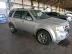 2010 Ford Escape Limited