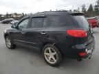 2008 Hyundai Santa FE SE