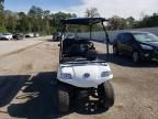 2024 Hdkp Golf Cart