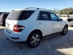 2009 Mercedes-Benz ML 350