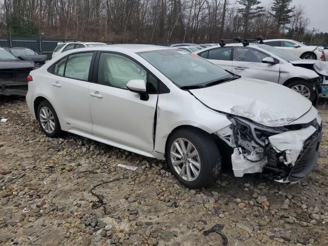 2023 Toyota Corolla LE