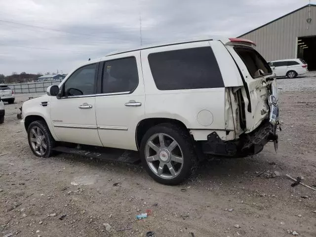 2010 Cadillac Escalade Premium