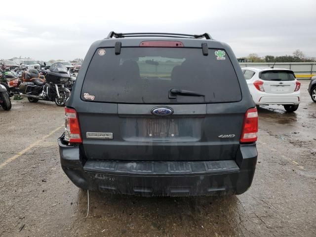 2008 Ford Escape XLT