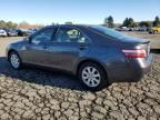 2008 Toyota Camry Hybrid