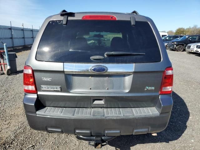 2011 Ford Escape Limited