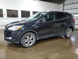 Salvage cars for sale at Blaine, MN auction: 2014 Ford Escape Titanium