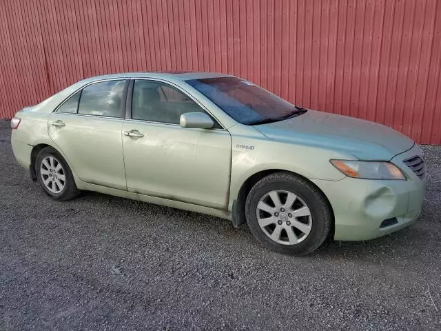 2007 Toyota Camry Hybrid