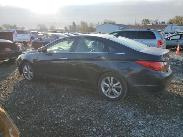 2011 Hyundai Sonata SE